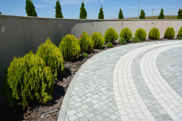 Best Decorative Driveway Pavers  in Bardstown, KY